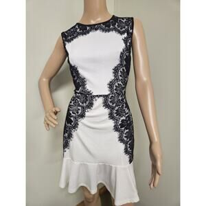 Womens Small Amika Lace Dress